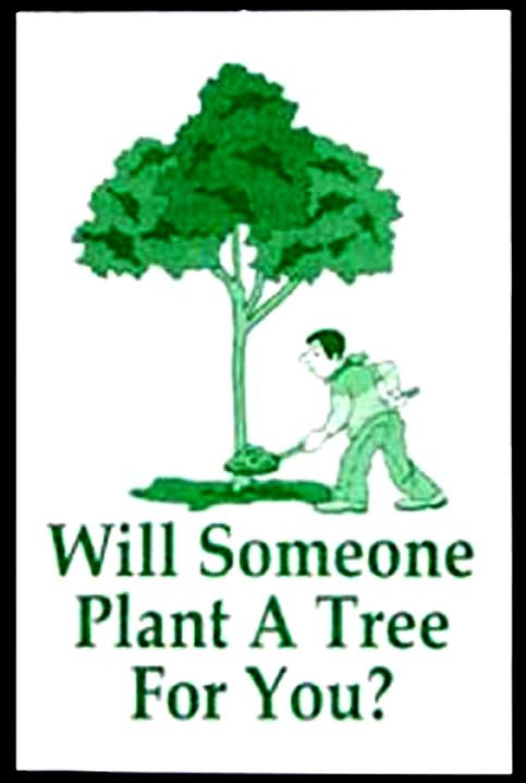 Tracts, Will Someone Plant A Tree For You? (Pack of 100)